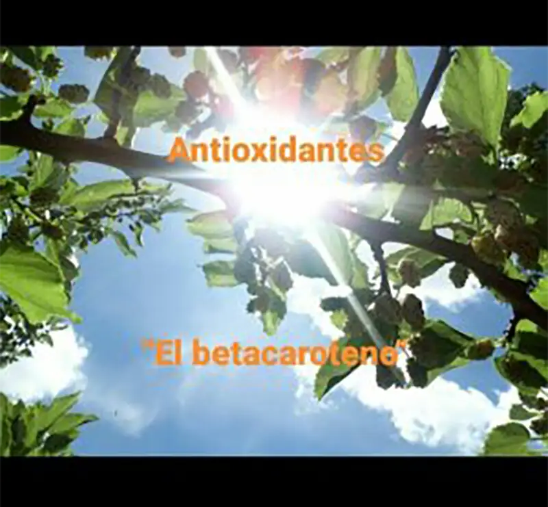 Tomar el sol o comer pistachos